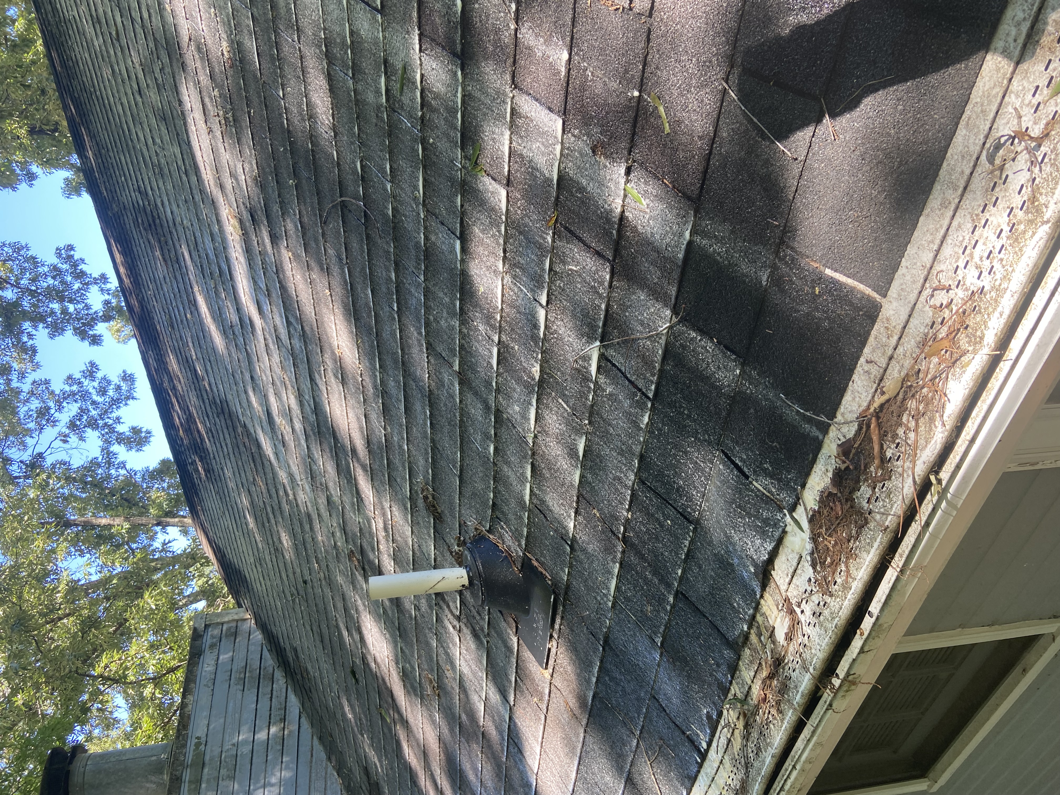 Residential Roof Washing in Clay, Al