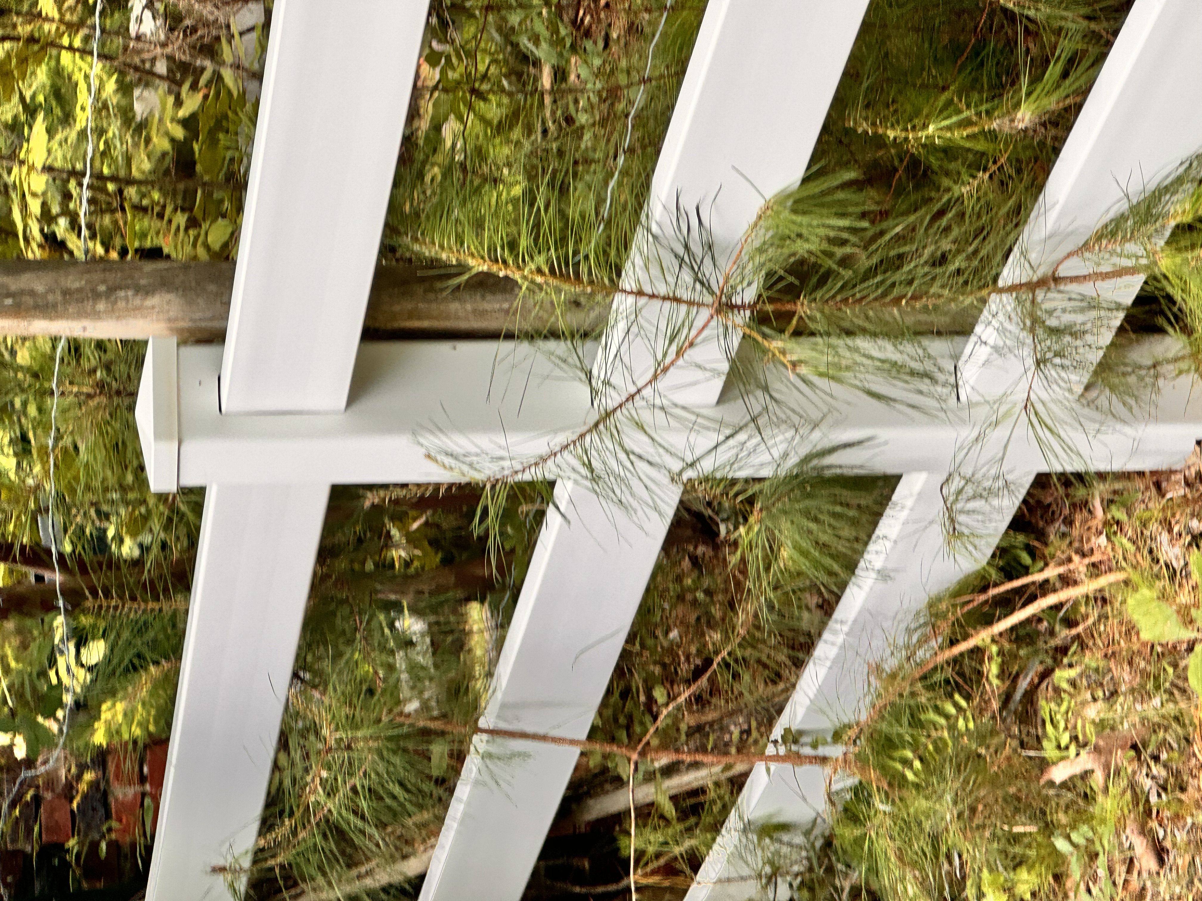 Vinyl fence cleaning in Leeds, Al