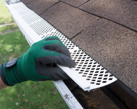 Gutter Cleaning